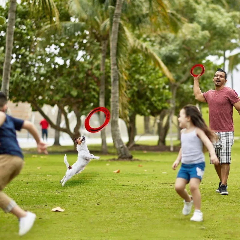 Flying Ring