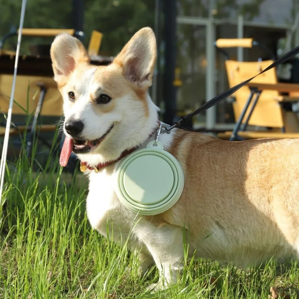 Set of 2 foldable silicone dog bowls with carabiner